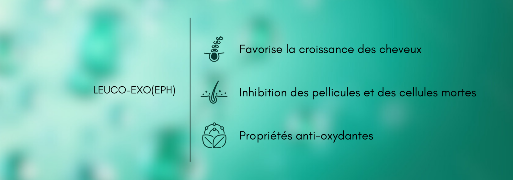 Exosome 2